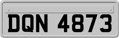DQN4873