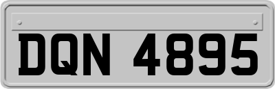DQN4895