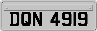 DQN4919