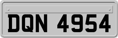 DQN4954