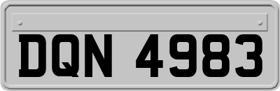 DQN4983