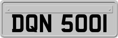 DQN5001