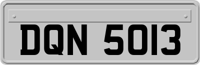DQN5013
