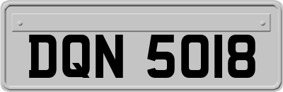 DQN5018