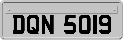DQN5019