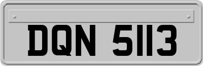 DQN5113