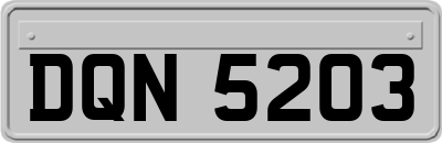 DQN5203