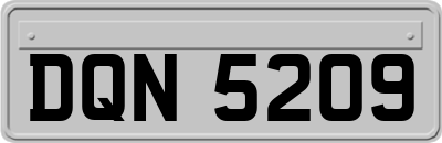 DQN5209