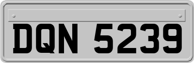 DQN5239