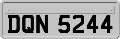 DQN5244
