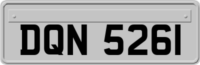 DQN5261
