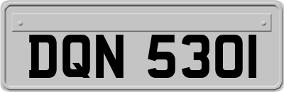 DQN5301