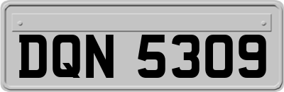 DQN5309