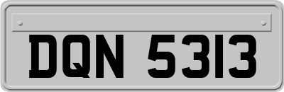 DQN5313