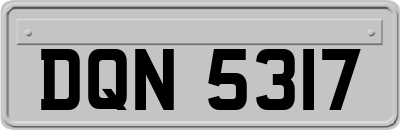DQN5317