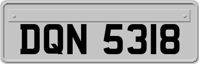 DQN5318