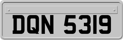 DQN5319