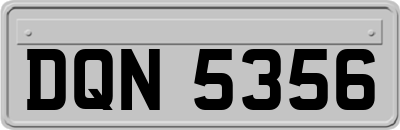 DQN5356