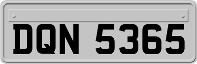 DQN5365