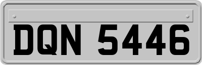DQN5446
