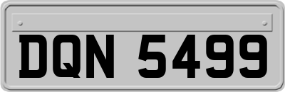 DQN5499
