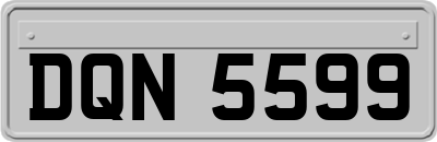 DQN5599