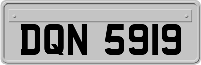DQN5919