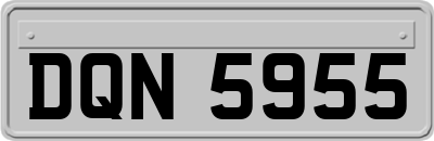 DQN5955