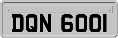 DQN6001