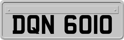 DQN6010
