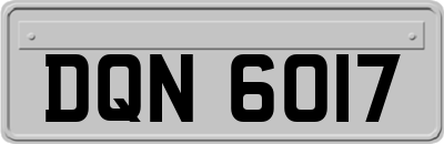 DQN6017
