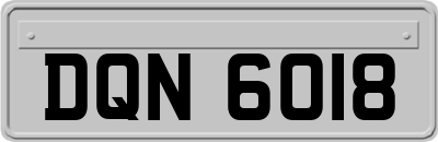 DQN6018