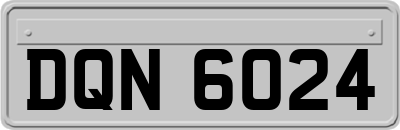 DQN6024