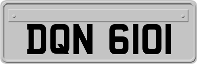 DQN6101