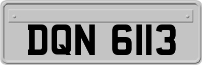 DQN6113
