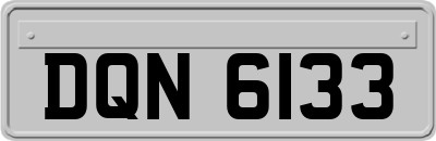 DQN6133