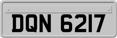 DQN6217
