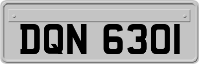 DQN6301