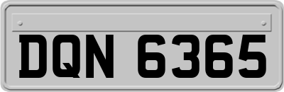DQN6365