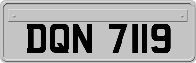 DQN7119