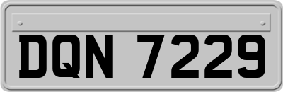DQN7229