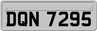 DQN7295