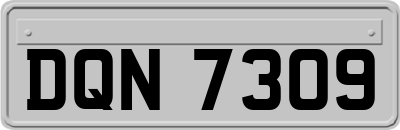 DQN7309