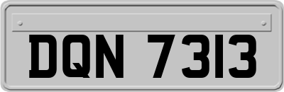 DQN7313