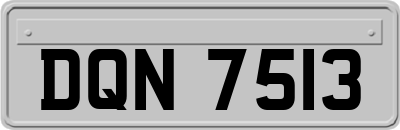 DQN7513