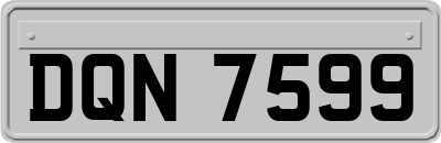 DQN7599