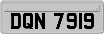 DQN7919