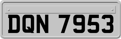 DQN7953
