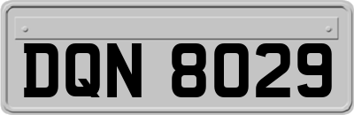 DQN8029