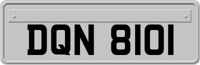 DQN8101